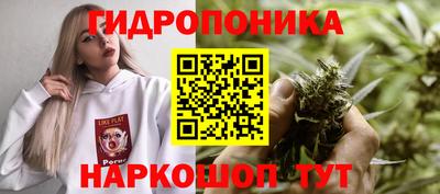 прущий лед Тара