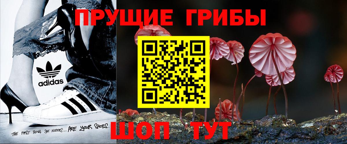 Галлюциногенные грибы Psilocybine cubensis  Вход с VPN  Асино 