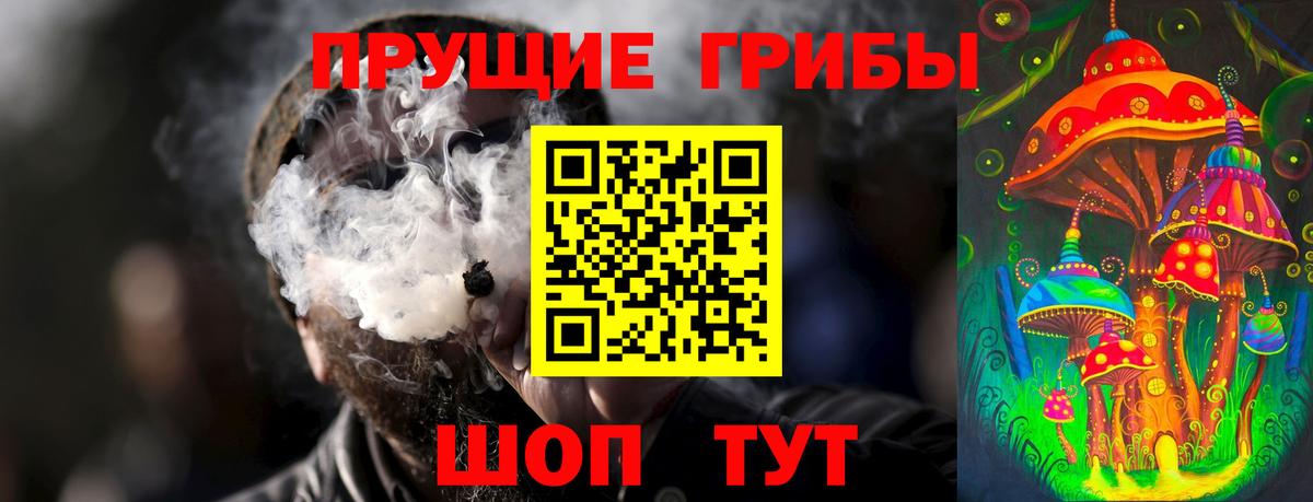 Псилоцибиновые грибы Psilocybe Асино